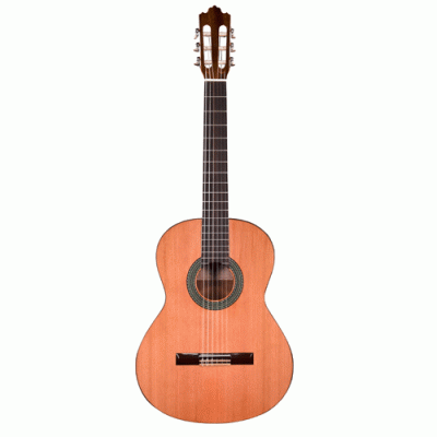Prodipe Recital 300