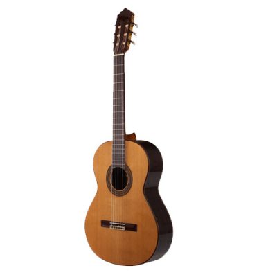 Prodipe Soloist 500