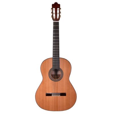 Prodipe Soloist 700