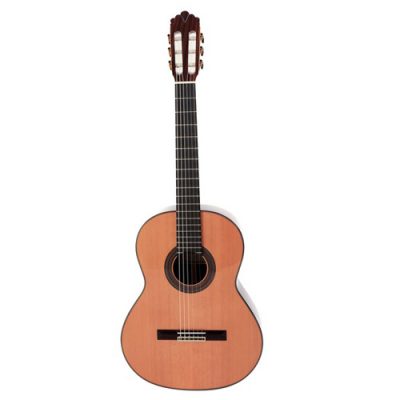 Prodipe Soloist 900