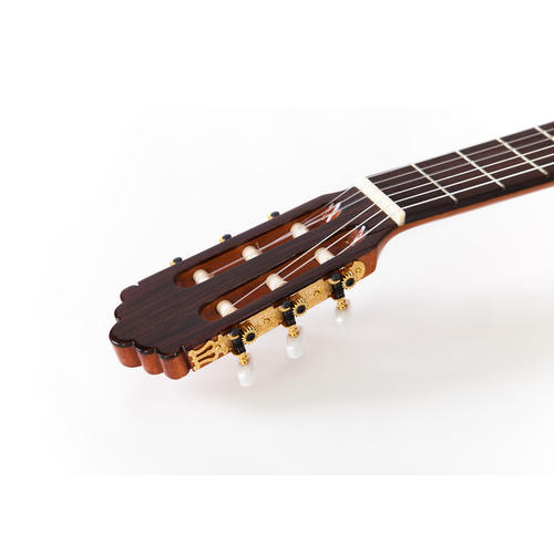 Prodipe Soloist 500 – Image 3