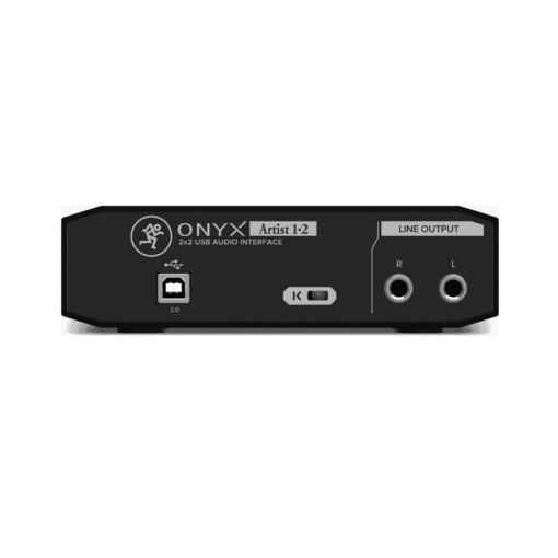Onyx Artist – Image 2