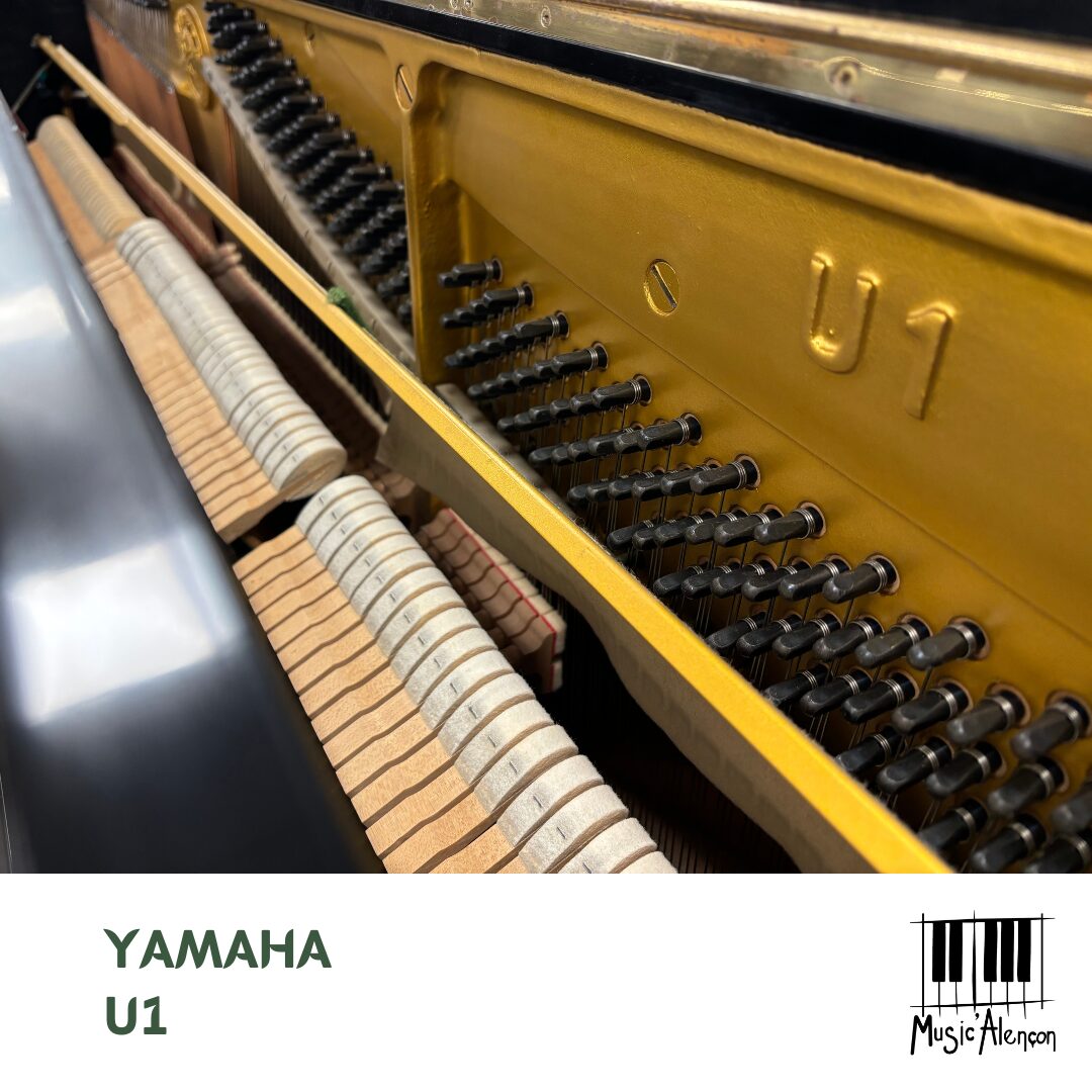 Yamaha U1 – Image 4