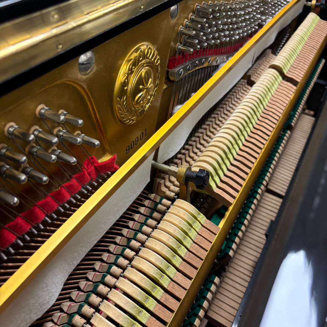 Apollo A8 – Image 4