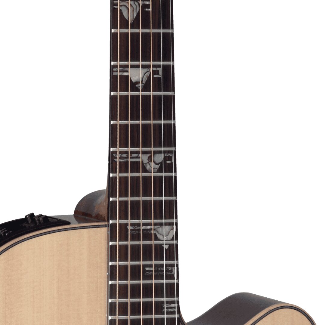 Takamine Sante Fe DSF48C – Image 2