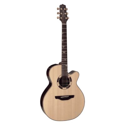 Takamine Sante Fe DSF48C