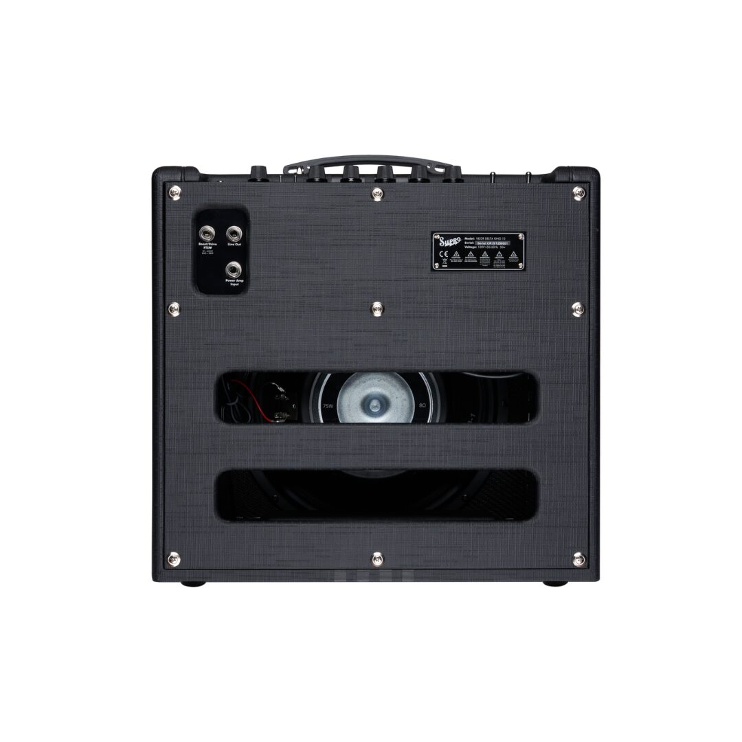 Supro Delta King 12 - Black & Black – Image 3